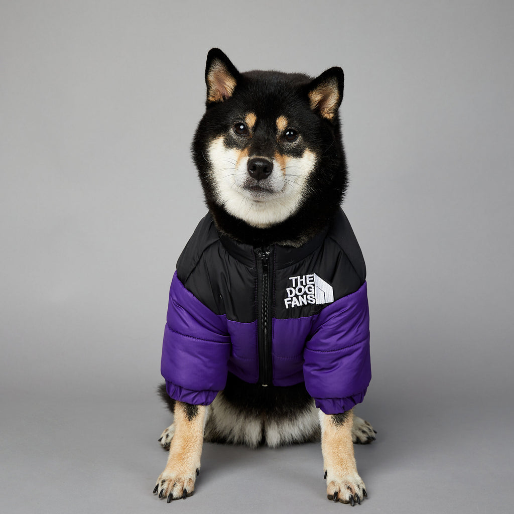 Warm Puffer Coat for your Best Friend