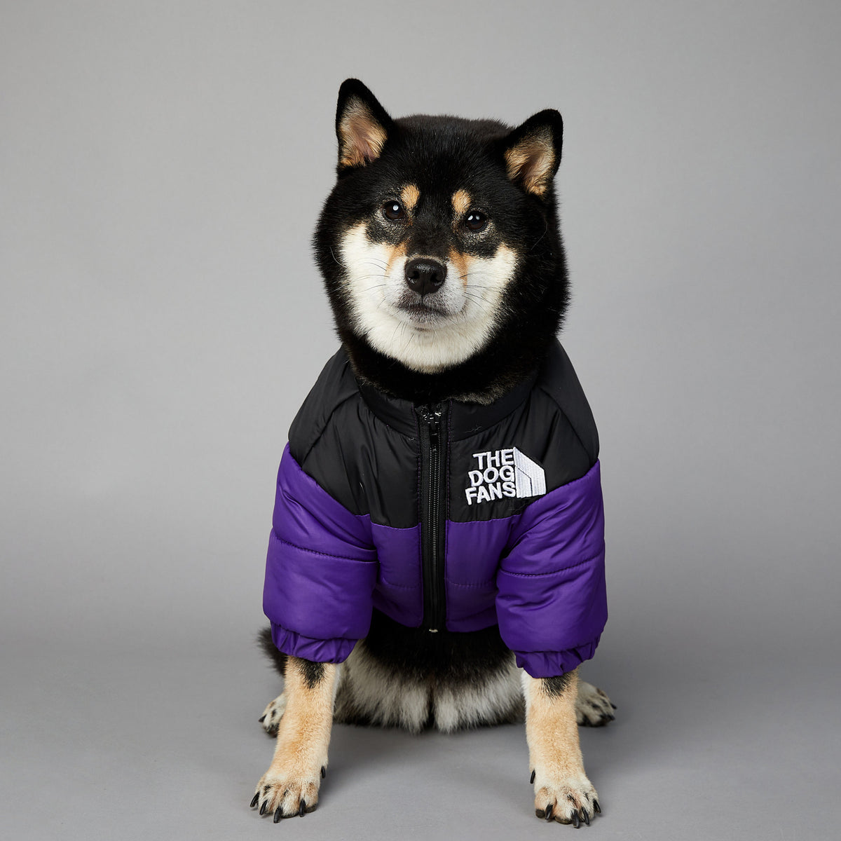 Warm Puffer Coat for your Best Friend