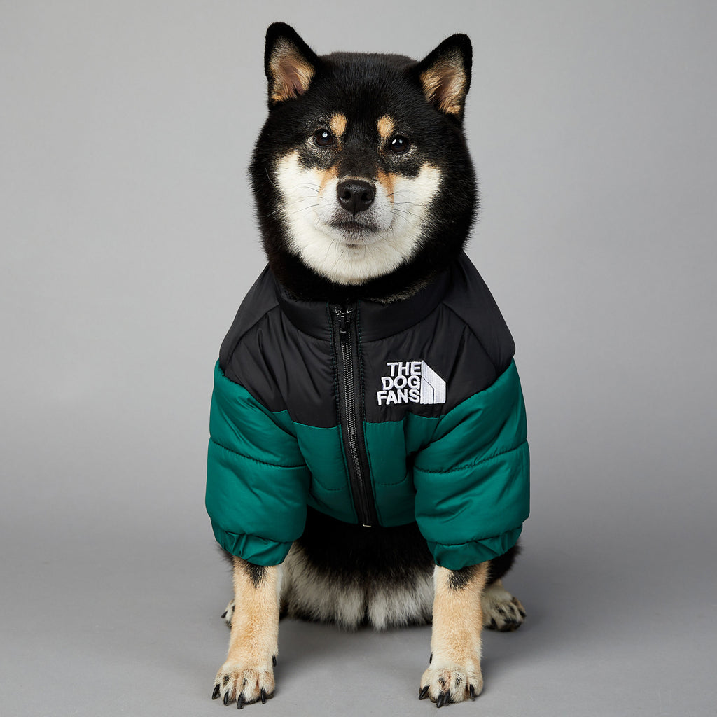 Warm Puffer Coat for your Best Friend