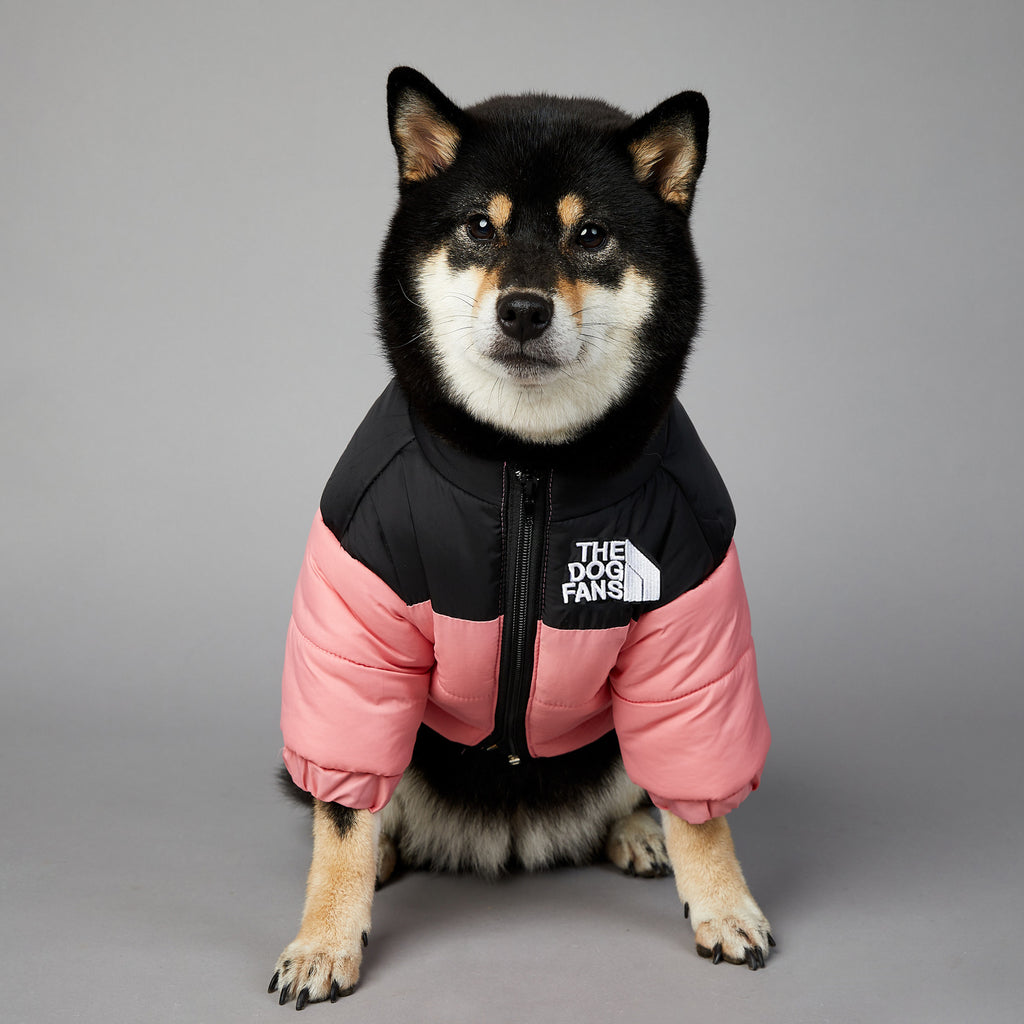 Warm Puffer Coat for your Best Friend