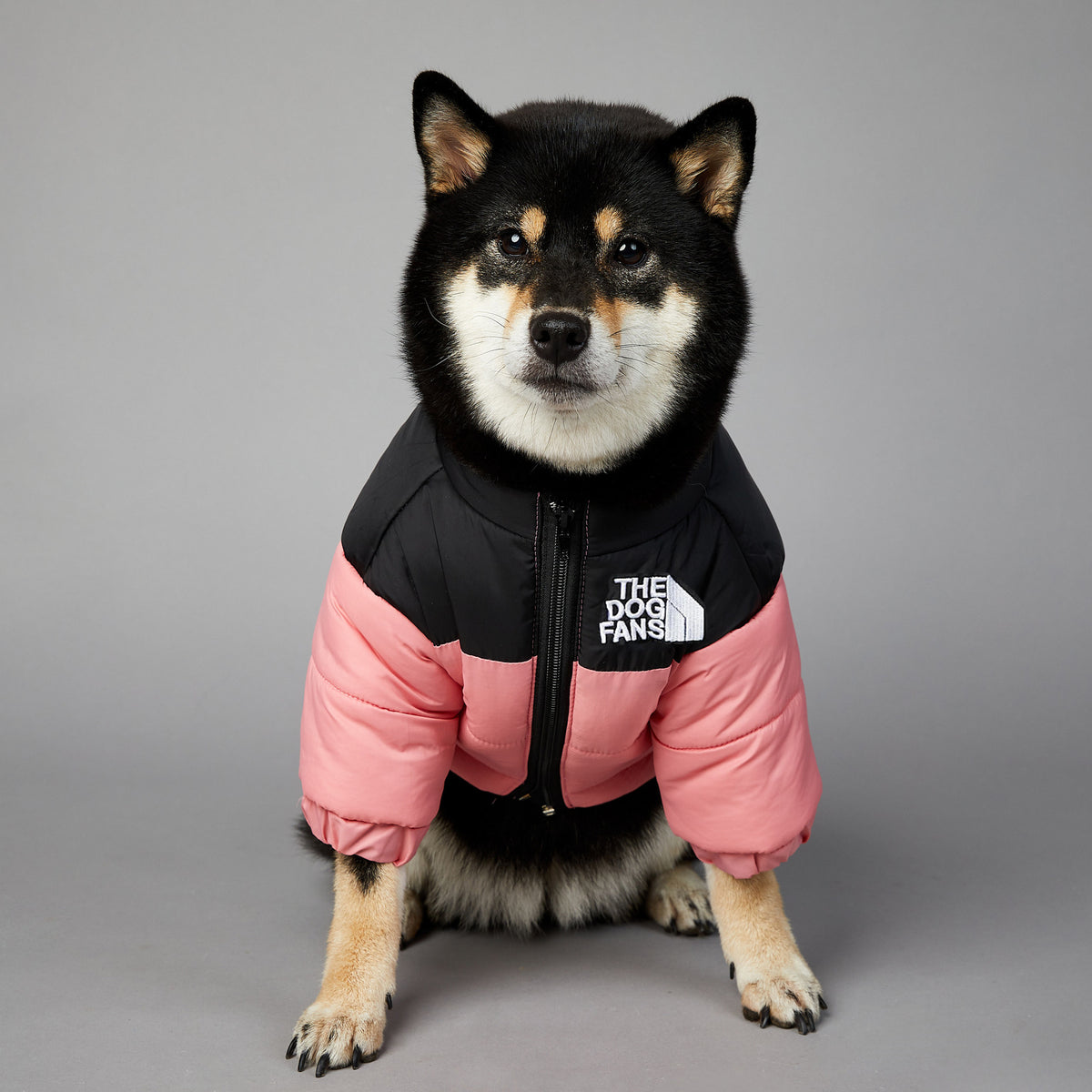 Warm Puffer Coat for your Best Friend