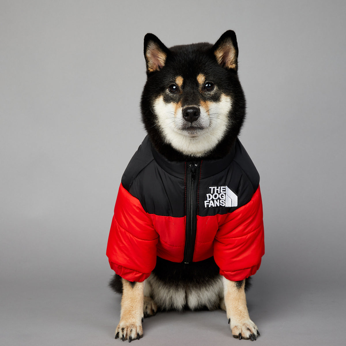 Warm Puffer Coat for your Best Friend